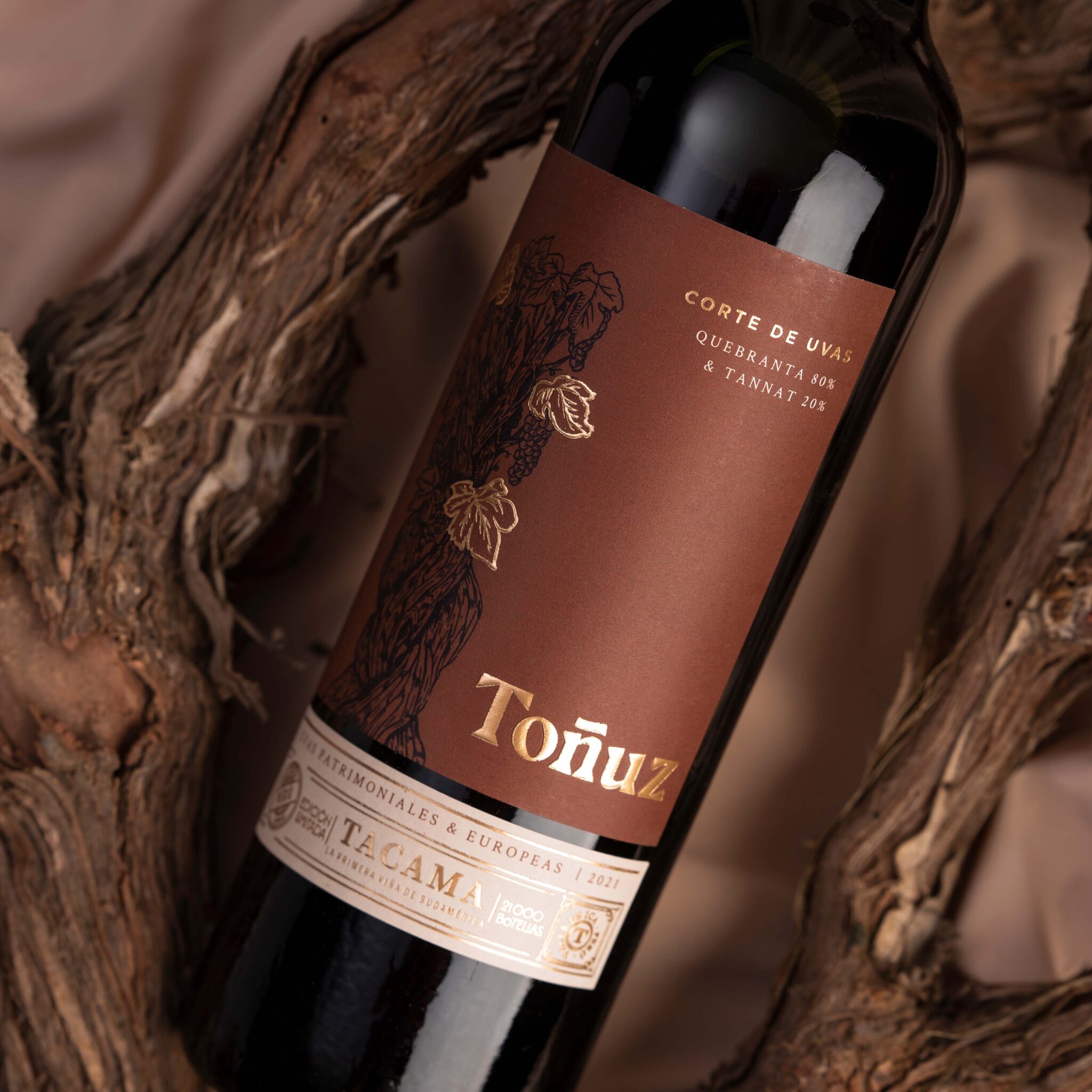 國際包裝設(shè)計(jì)分享|TACAMA葡萄酒包裝設(shè)計(jì)欣賞