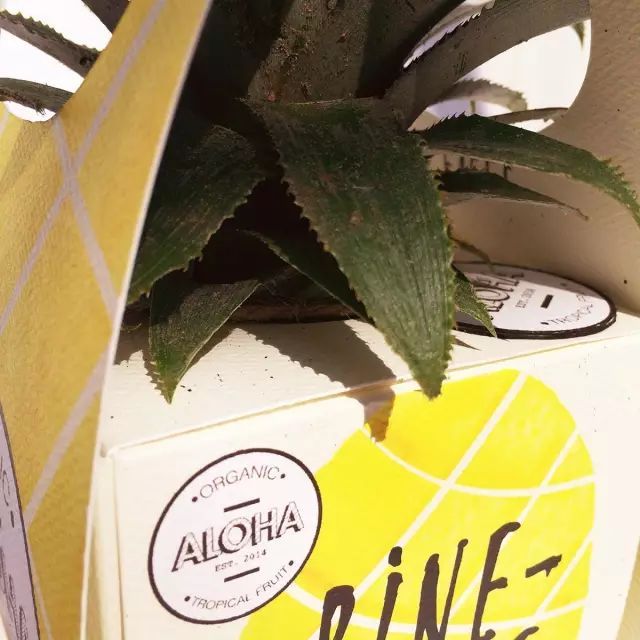 1555899496586776.jpg 7d1ae725adbd4cae953a359ffc135355.jpg