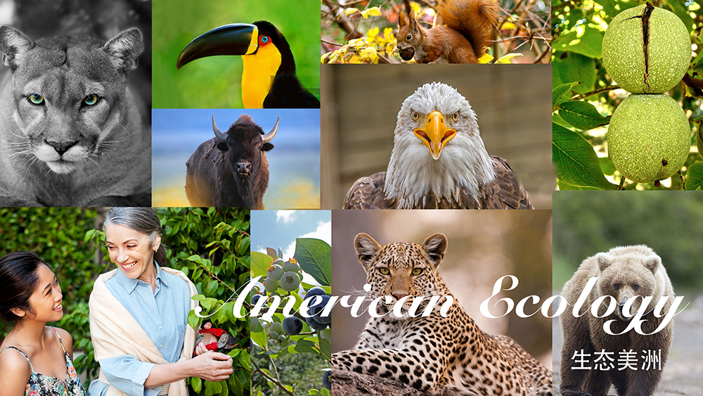 生態(tài)美洲 生態(tài)美洲