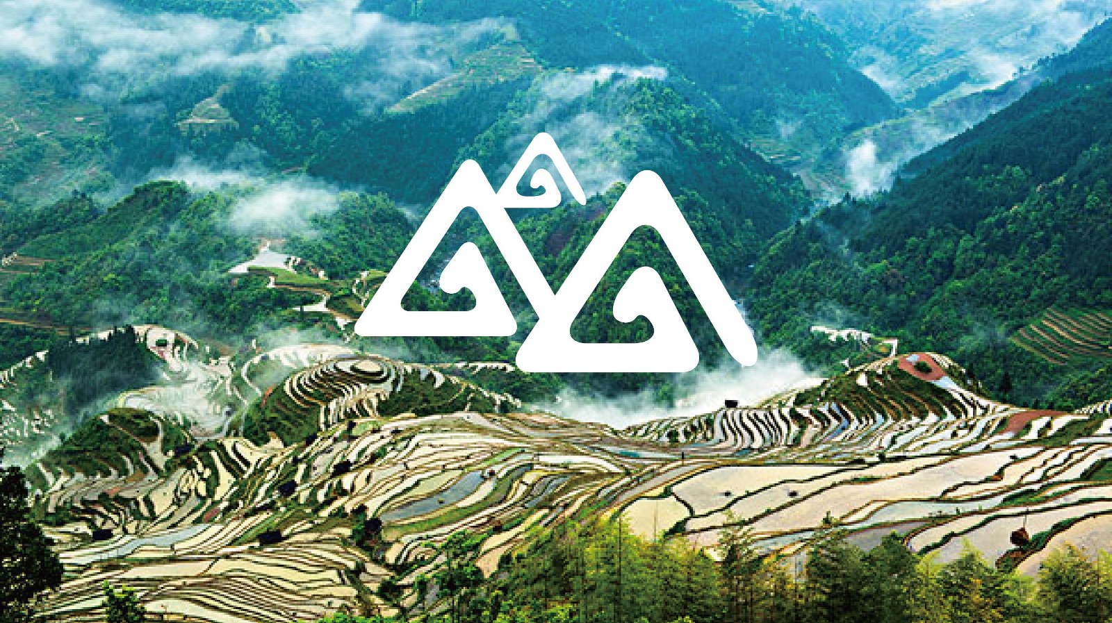 云嶺佰草品牌LOGO 云嶺佰草品牌LOGO