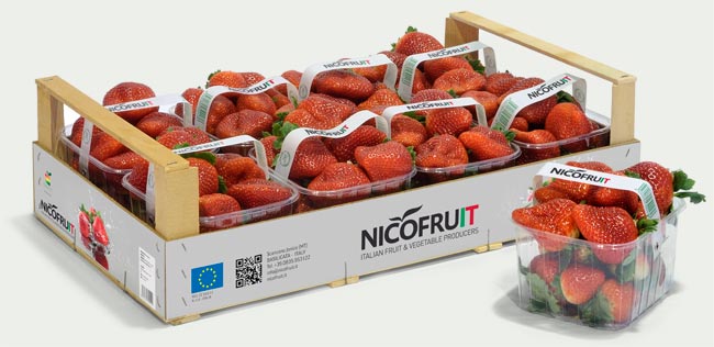 1606787718907452.jpg 1606787718907452.jpg