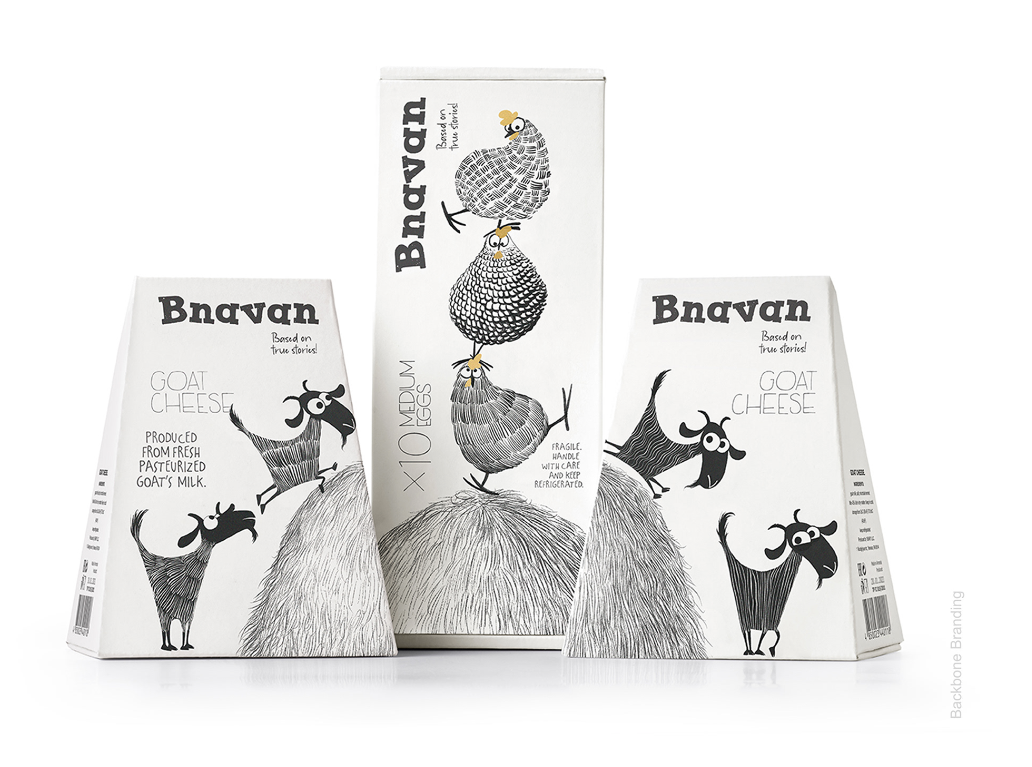 雞蛋包裝設(shè)計(jì) 雞蛋包裝設(shè)計(jì)