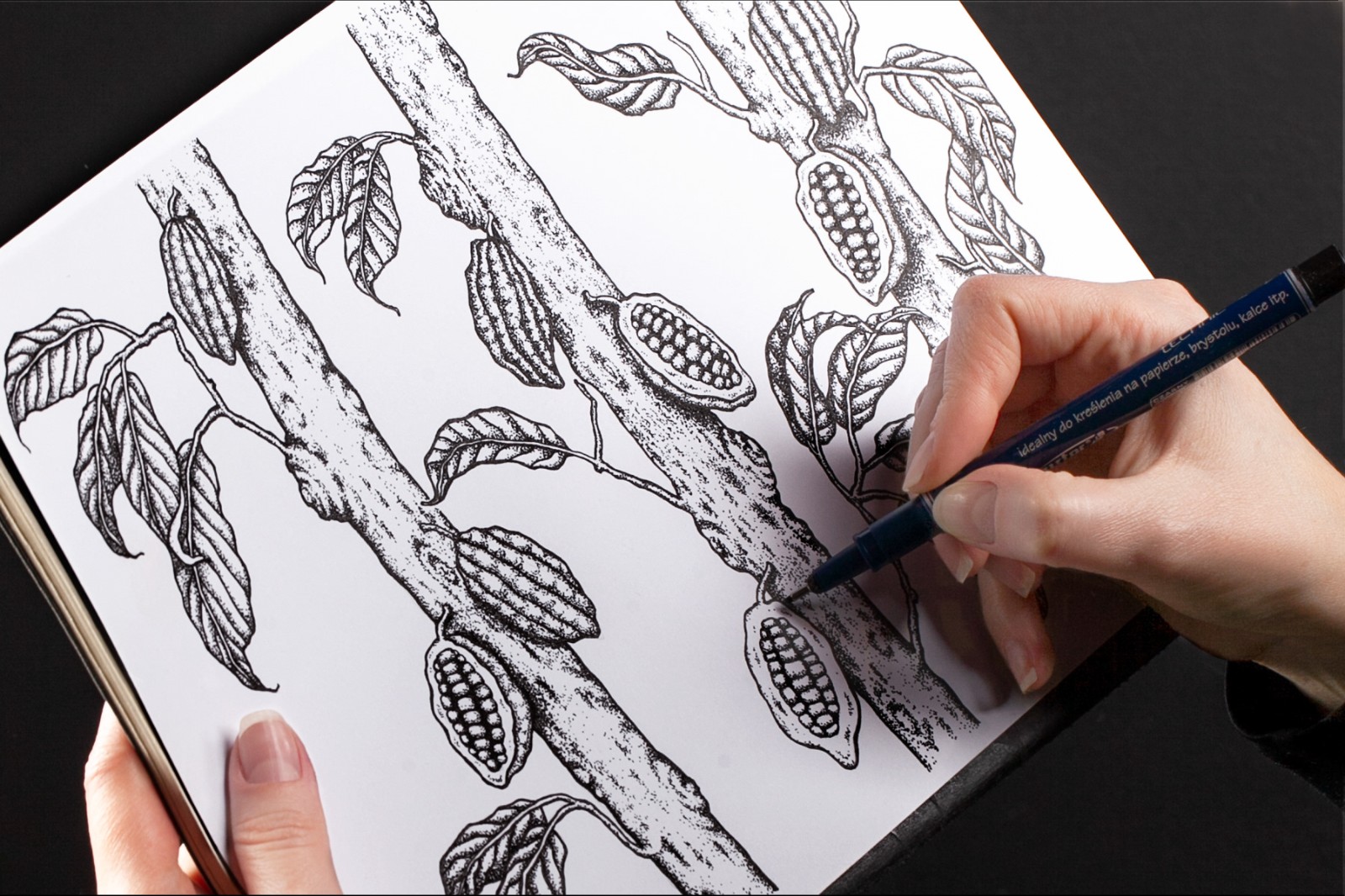 禮盒插畫(huà)包裝設(shè)計(jì) 禮盒插畫(huà)包裝設(shè)計(jì)