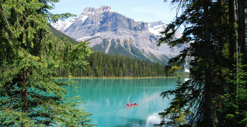 1725584306668178.png image.png