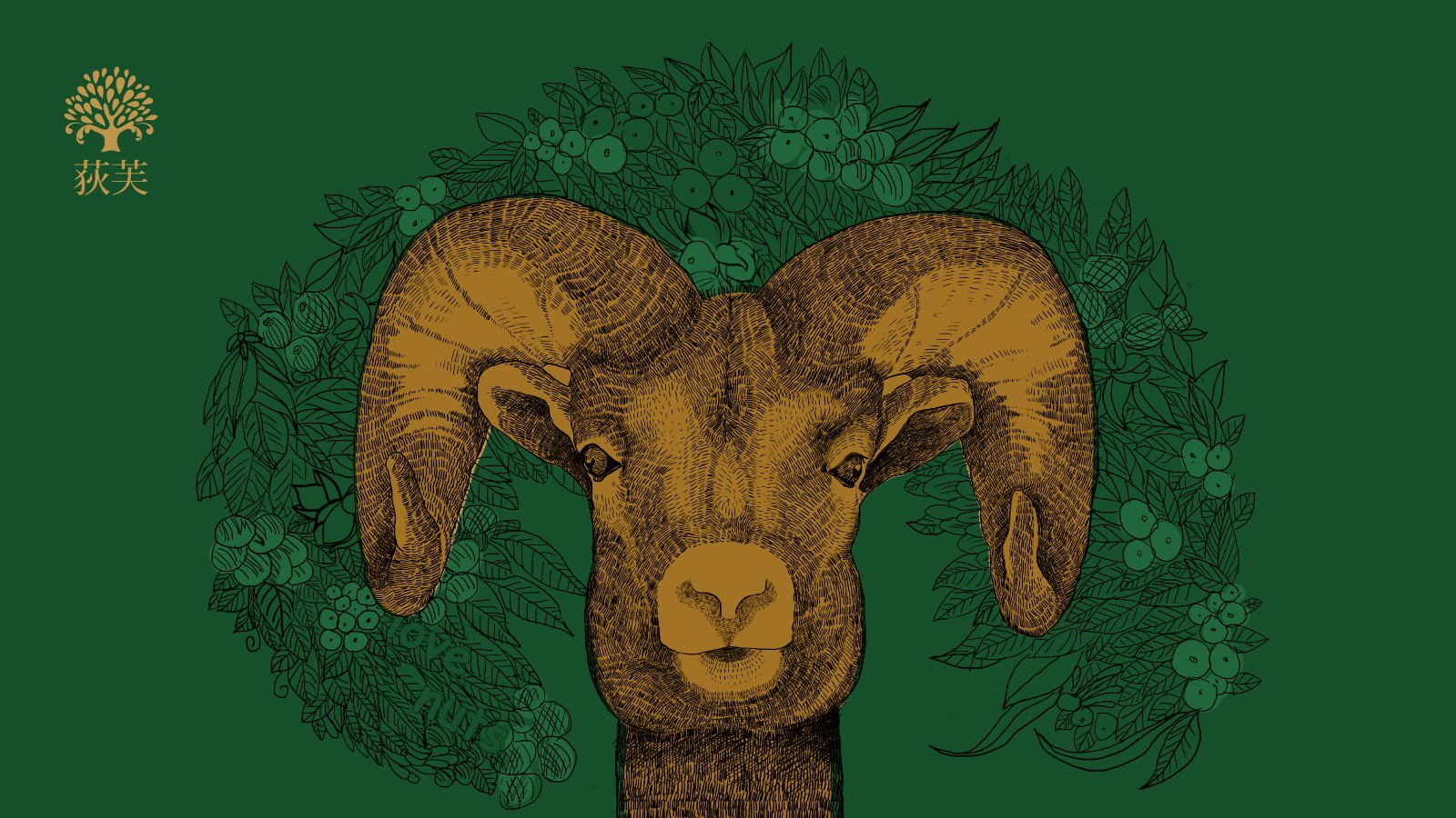 堅(jiān)果插畫創(chuàng)意 堅(jiān)果插畫創(chuàng)意