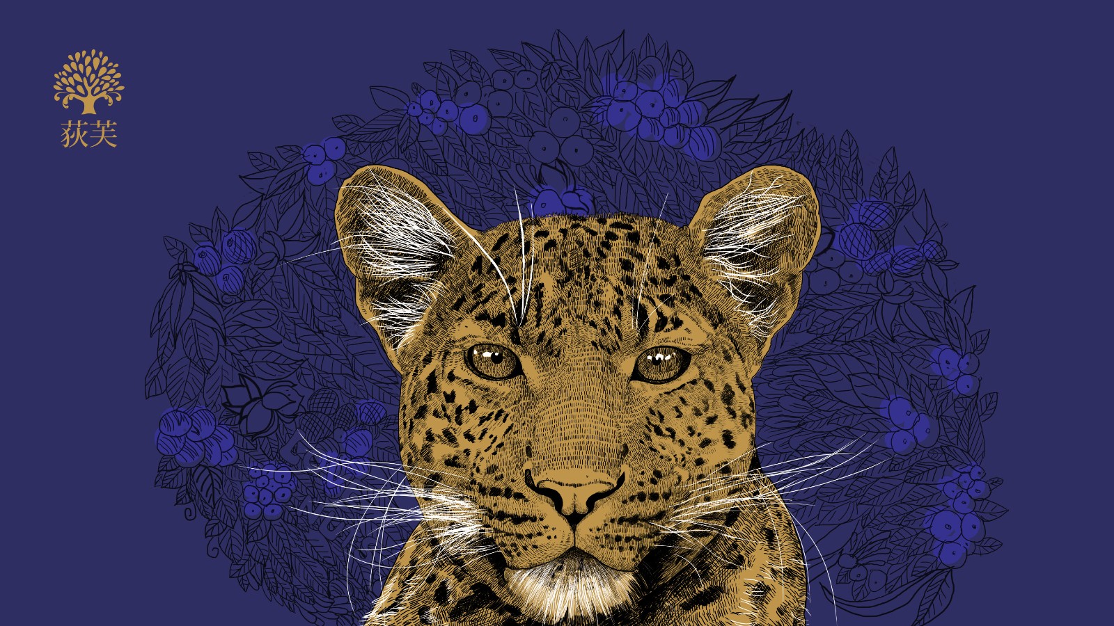 北京西林插畫設(shè)計(jì) 北京西林插畫設(shè)計(jì)