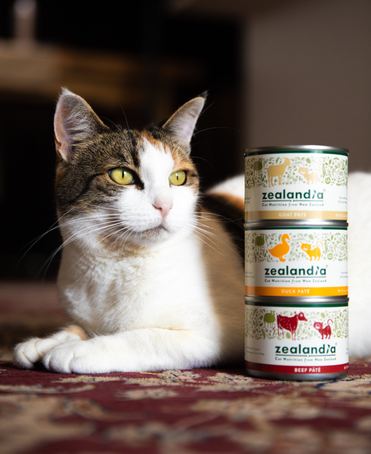 貓營養(yǎng)品包裝設(shè)計 貓營養(yǎng)品包裝設(shè)計