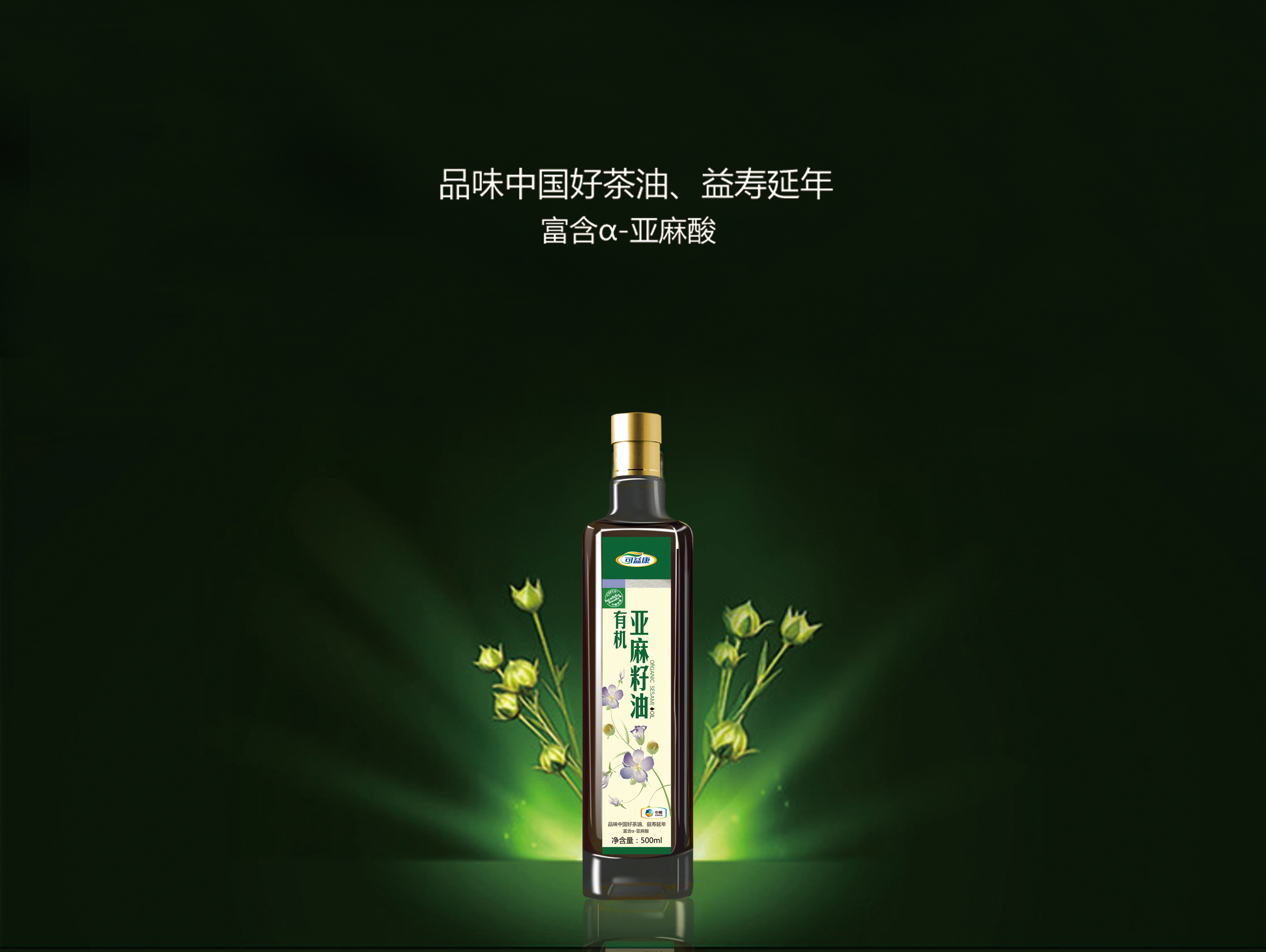 1731910953450820.jpg 1731910953450820.jpg